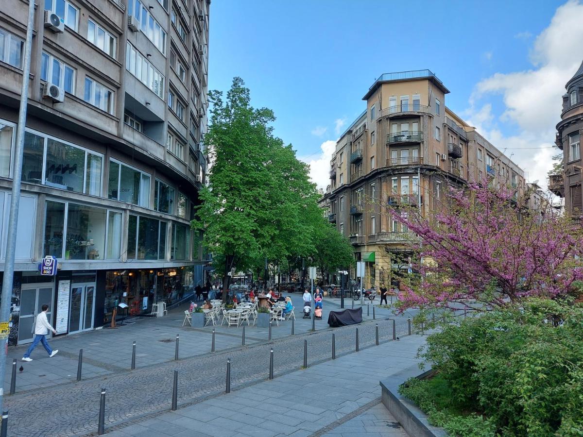 Lotta Apartment Beograd Bagian luar foto